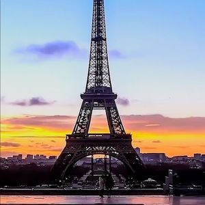 Meet your Posher, Wilson